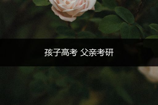 孩子高考 父亲考研