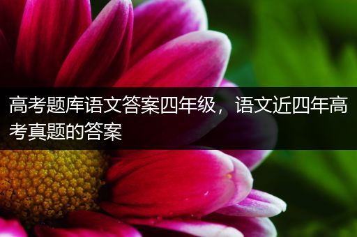 高考题库语文答案四年级，语文近四年高考真题的答案