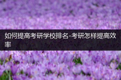 如何提高考研学校排名-考研怎样提高效率