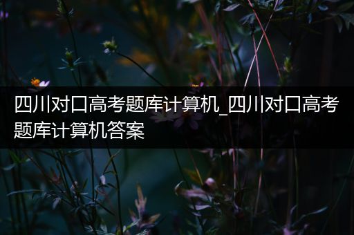 四川对口高考题库计算机_四川对口高考题库计算机答案