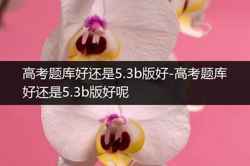 高考题库好还是5.3b版好-高考题库好还是5.3b版好呢