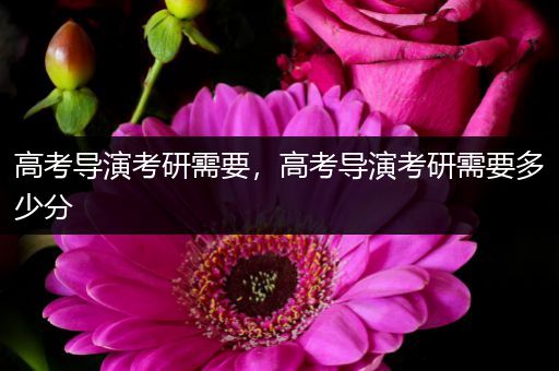 高考导演考研需要，高考导演考研需要多少分