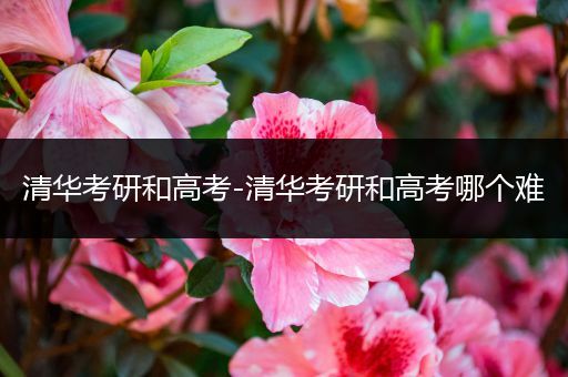 清华考研和高考-清华考研和高考哪个难