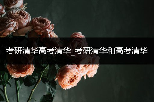 考研清华高考清华_考研清华和高考清华