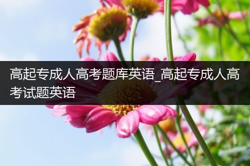 高起专成人高考题库英语_高起专成人高考试题英语