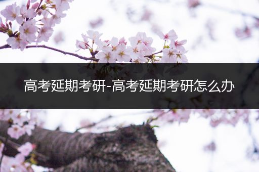 高考延期考研-高考延期考研怎么办