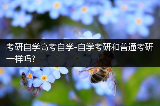 考研自学高考自学-自学考研和普通考研一样吗?