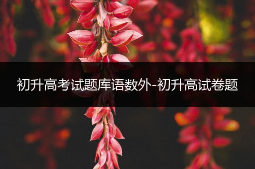 初升高考试题库语数外-初升高试卷题