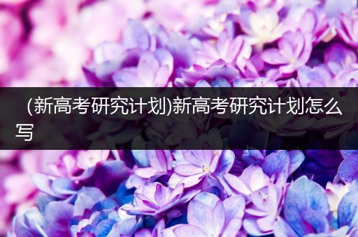 （新高考研究计划)新高考研究计划怎么写