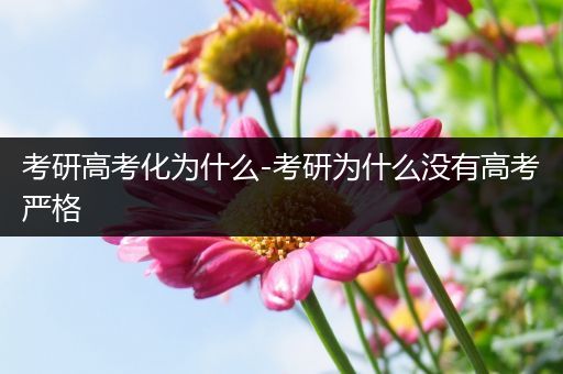 考研高考化为什么-考研为什么没有高考严格