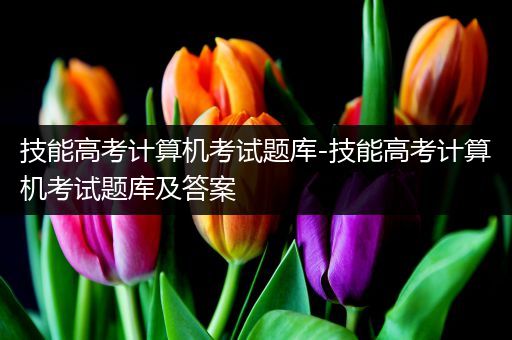 技能高考计算机考试题库-技能高考计算机考试题库及答案