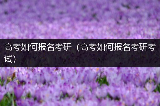 高考如何报名考研（高考如何报名考研考试）