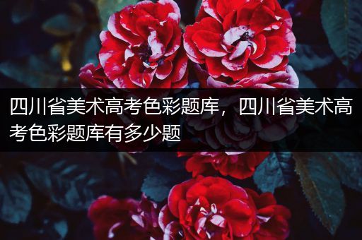 四川省美术高考色彩题库，四川省美术高考色彩题库有多少题
