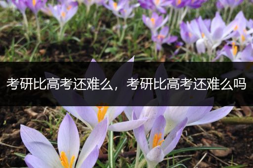 考研比高考还难么，考研比高考还难么吗