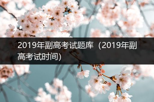 2019年副高考试题库（2019年副高考试时间）