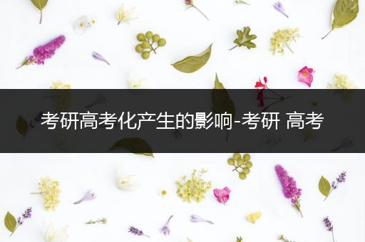 考研高考化产生的影响-考研 高考