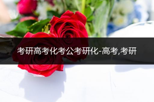 考研高考化考公考研化-高考,考研