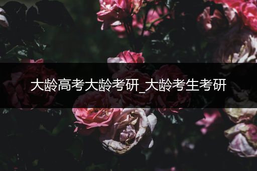 大龄高考大龄考研_大龄考生考研