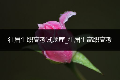 往届生职高考试题库_往届生高职高考