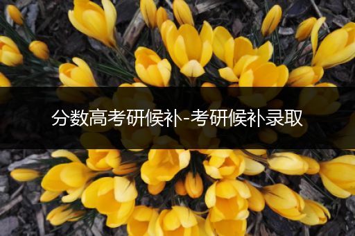 分数高考研候补-考研候补录取