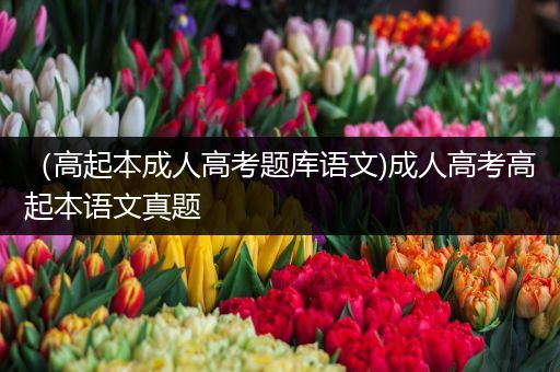 （高起本成人高考题库语文)成人高考高起本语文真题
