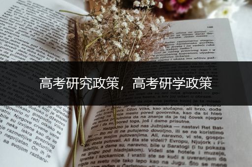 高考研究政策，高考研学政策