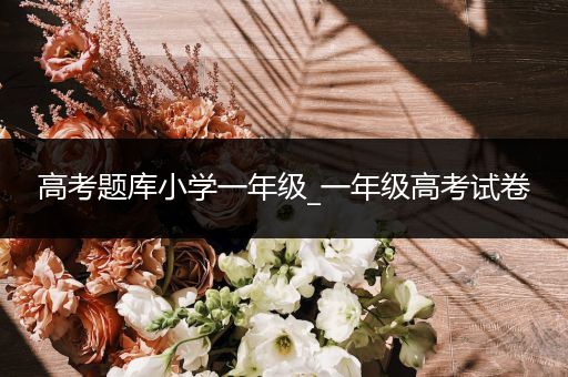 高考题库小学一年级_一年级高考试卷