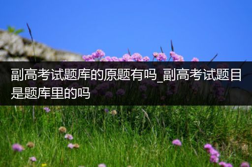 副高考试题库的原题有吗_副高考试题目是题库里的吗