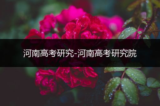 河南高考研究-河南高考研究院