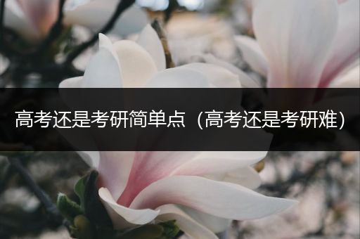 高考还是考研简单点（高考还是考研难）