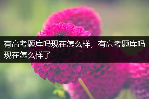 有高考题库吗现在怎么样，有高考题库吗现在怎么样了