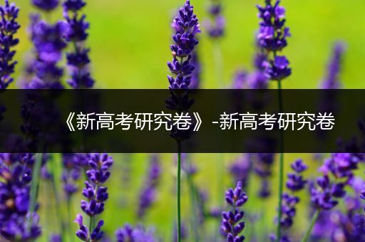 《新高考研究卷》-新高考研究卷