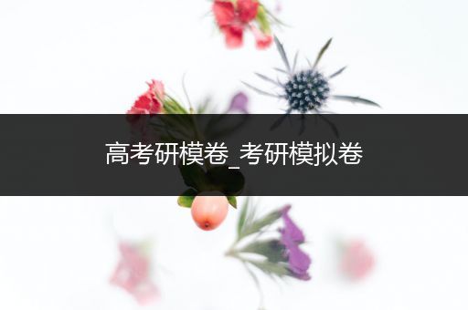 高考研模卷_考研模拟卷