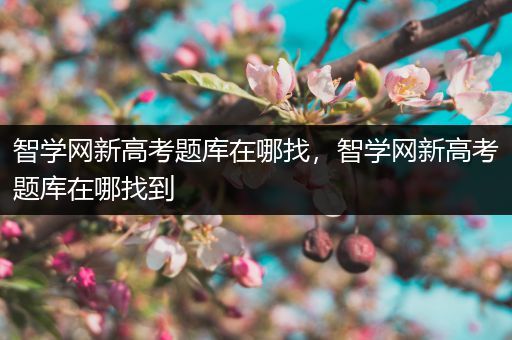 智学网新高考题库在哪找，智学网新高考题库在哪找到