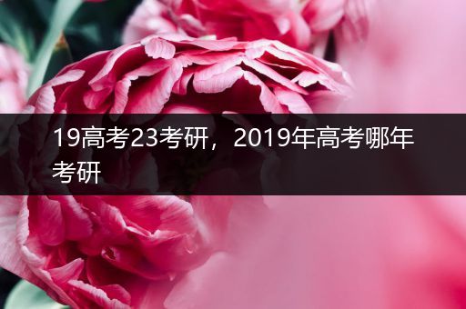 19高考23考研，2019年高考哪年考研