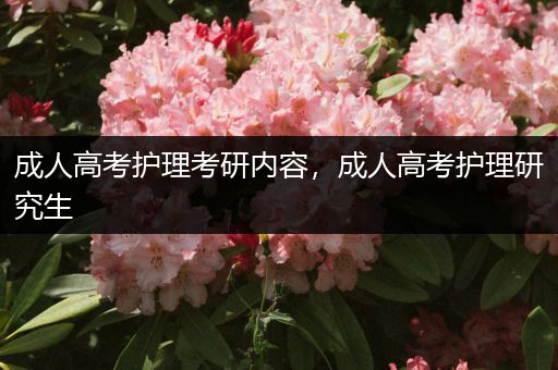 成人高考护理考研内容，成人高考护理研究生