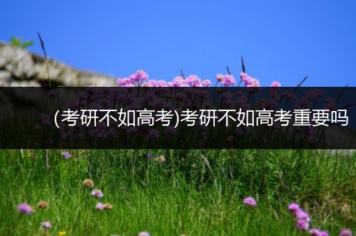 （考研不如高考)考研不如高考重要吗