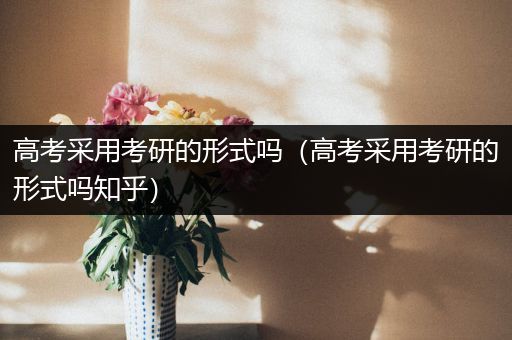 高考采用考研的形式吗（高考采用考研的形式吗知乎）