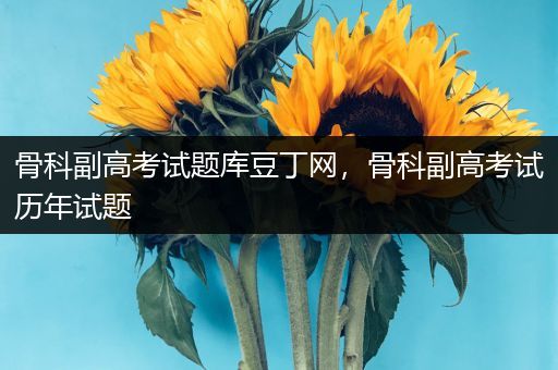 骨科副高考试题库豆丁网，骨科副高考试历年试题