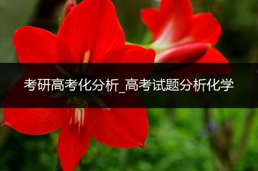 考研高考化分析_高考试题分析化学