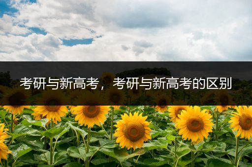 考研与新高考，考研与新高考的区别