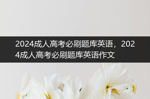 2024成人高考必刷题库英语，2024成人高考必刷题库英语作文