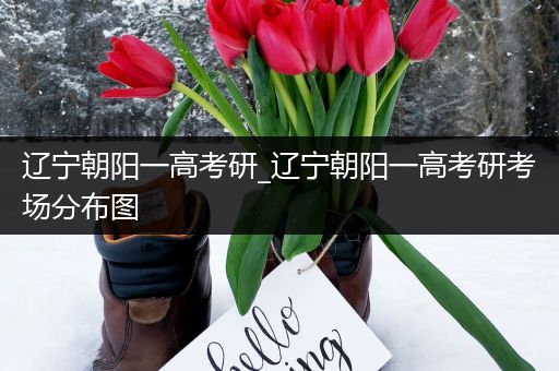 辽宁朝阳一高考研_辽宁朝阳一高考研考场分布图