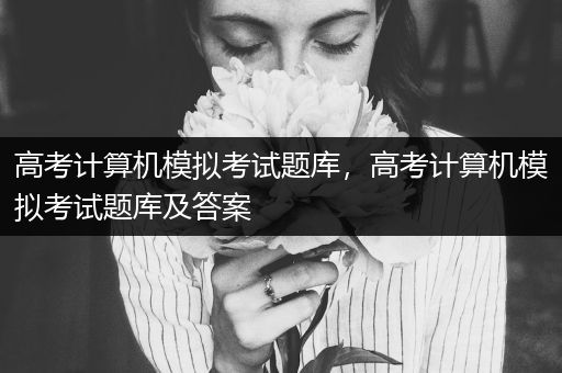 高考计算机模拟考试题库，高考计算机模拟考试题库及答案