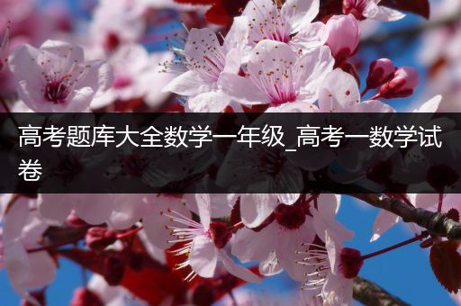 高考题库大全数学一年级_高考一数学试卷