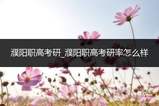 濮阳职高考研_濮阳职高考研率怎么样