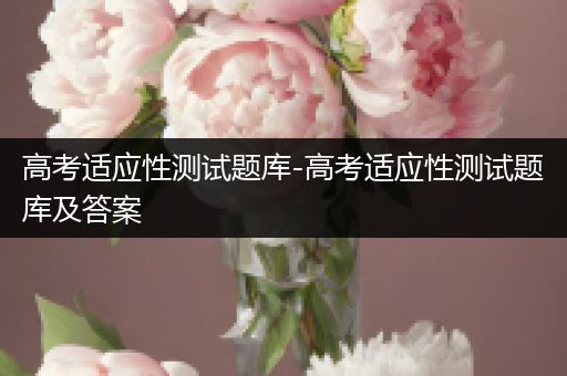 高考适应性测试题库-高考适应性测试题库及答案