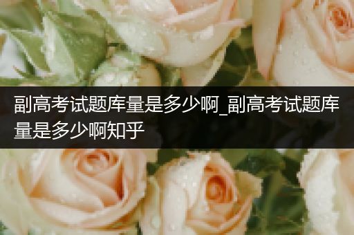 副高考试题库量是多少啊_副高考试题库量是多少啊知乎