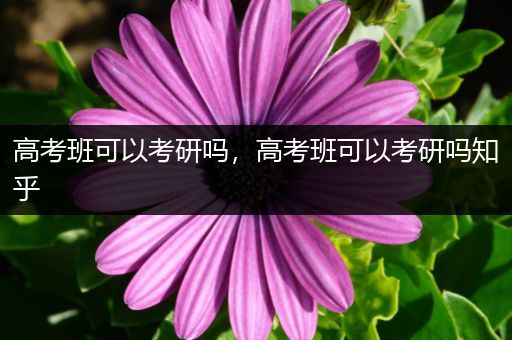 高考班可以考研吗，高考班可以考研吗知乎