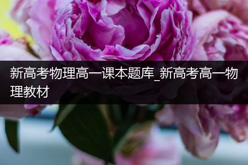 新高考物理高一课本题库_新高考高一物理教材